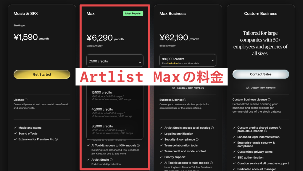 Artlist Max 料金